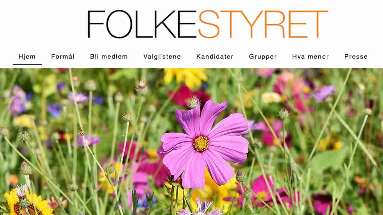 Skjermdump av nettstedet til organisasjonen Folkestyret