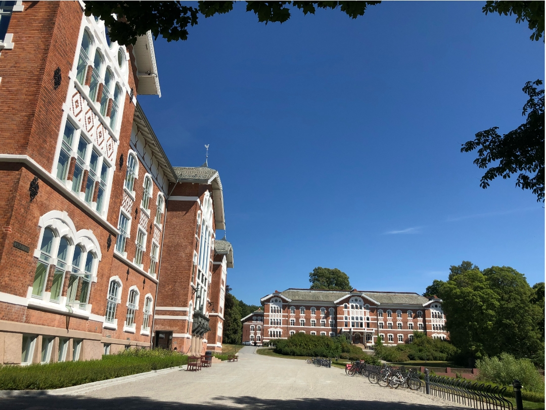 Universitetet I Aas Bilde fra Universitetet i Ås som illustrasjon på akademia