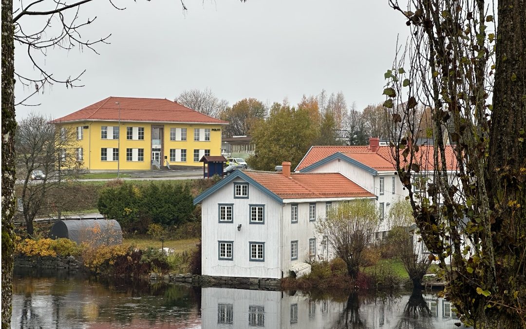 Frimodige ytringer unikt definert i Norges grunnlov