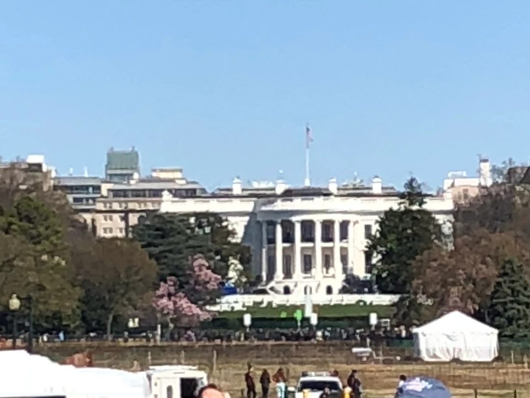 Bilde av Det hvite hus i Washington D.C. som illustrasjon til artikkel om konstitusjonell føderal republikk versus deokrati