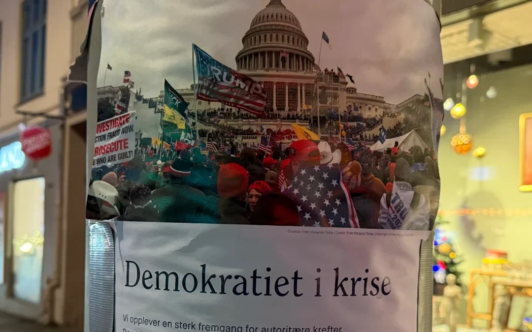 Domstolene forstår ikke helt sin konstitusjonelle rolle