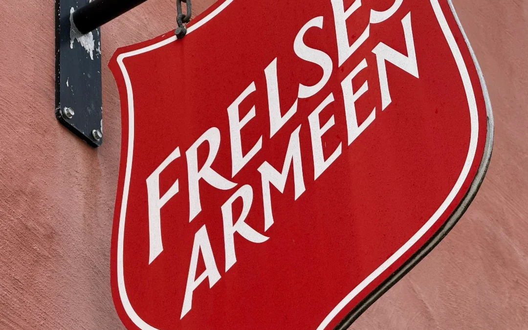 Hva er konsekvensene når NGO-er er offentlig kontrollert (GCNGO)?